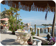 Anchor Apartment Treasure Island Florida