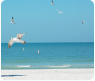 Treasure Island Beach